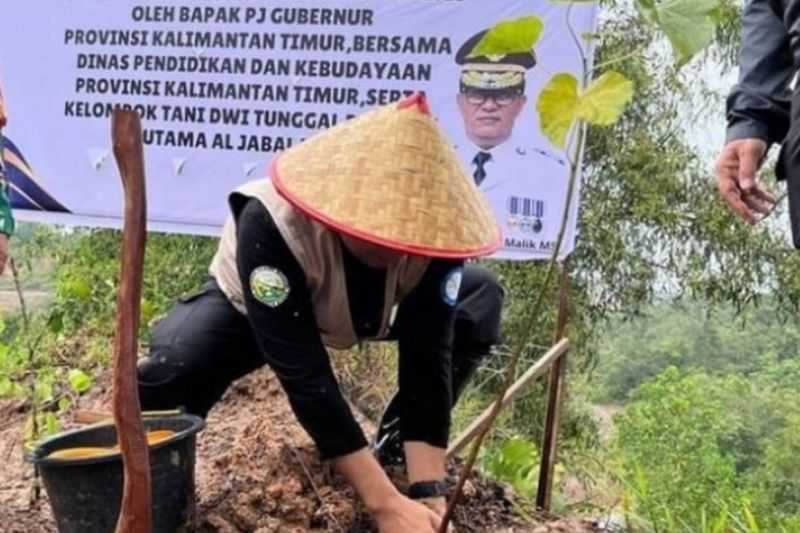 Tingkatkan Ketahanan Pangan, Pj Gubernur Kaltim Tanam Pohon di Lahan Kritis Bekas Tambang