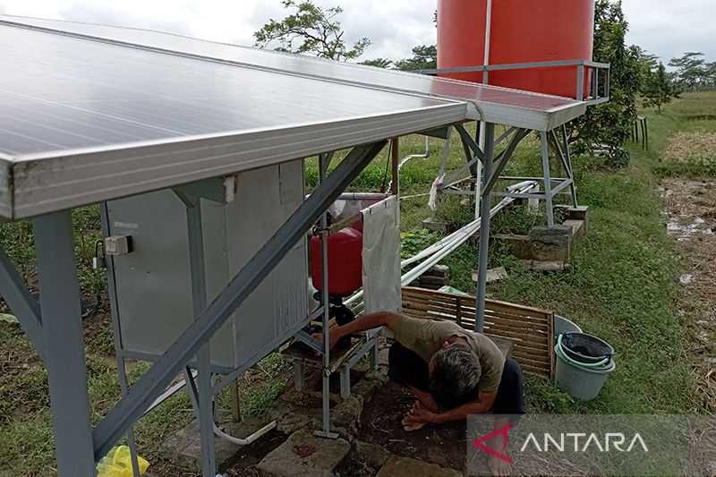 Tingkatkan Produksi Beras dengan Inovasi Ini, Pompa Air Tenaga Surya untuk Sawah Tadah Hujan