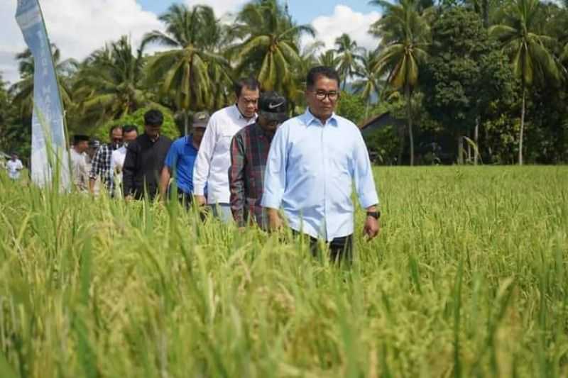 Tingkatkan Produksi, Pemprov Sulbar Bantu Alat Pertanian Petani
