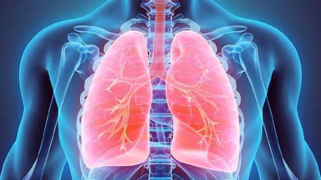Tips dan Trik, Memulihkan Paru-paru Setelah Sembuh Dari Covid-19