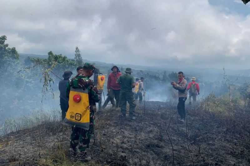 TNGR: Kebakaran Kawasan Hutan di Gunung Rinjani Dipastikan Sudah Padam