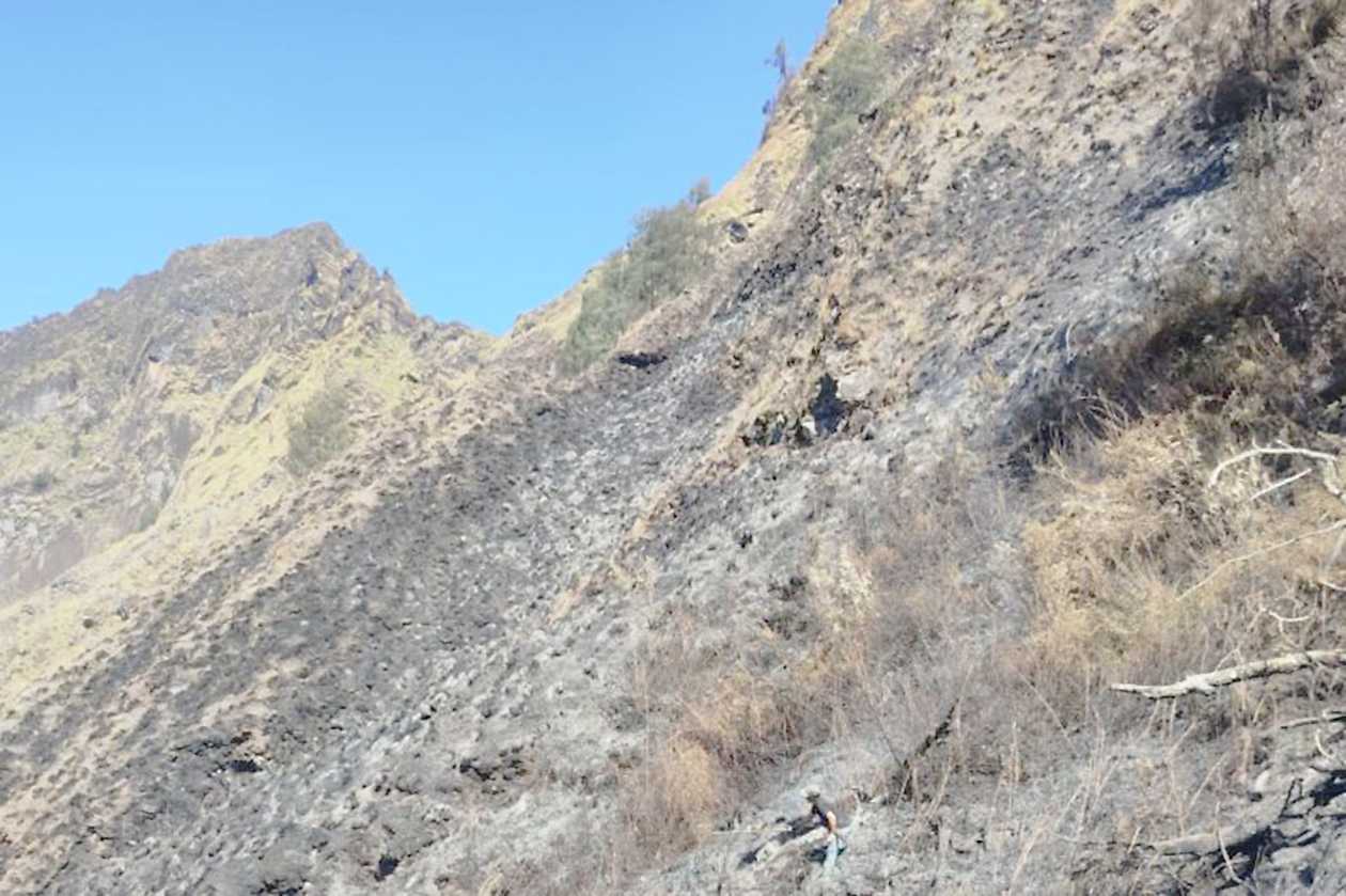 TNGR: Kebakaran Lahan di Kawasan Gunung Rinjani Dampak Cuaca Panas