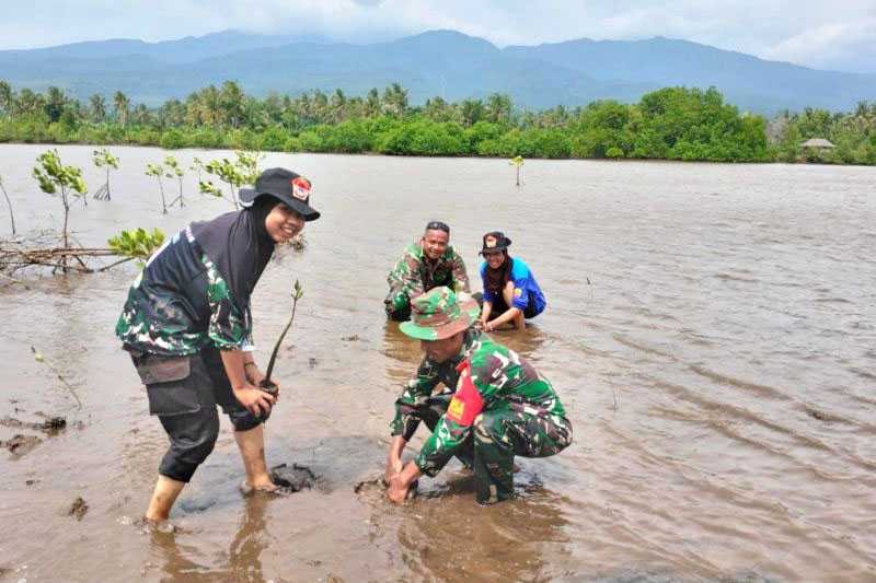TNI tanam mangrove di pesisir pantai Lombok Timur