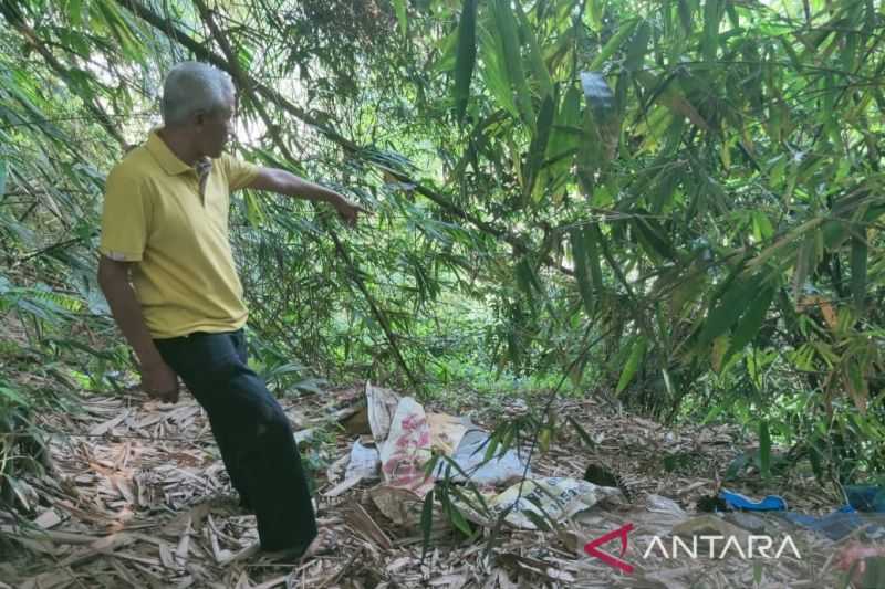Tragis! Seminggu Hilang, Nenek di Cianjur Ditemukan Tinggal Tulang Belulang, Tersangkut di Pohon Bambu