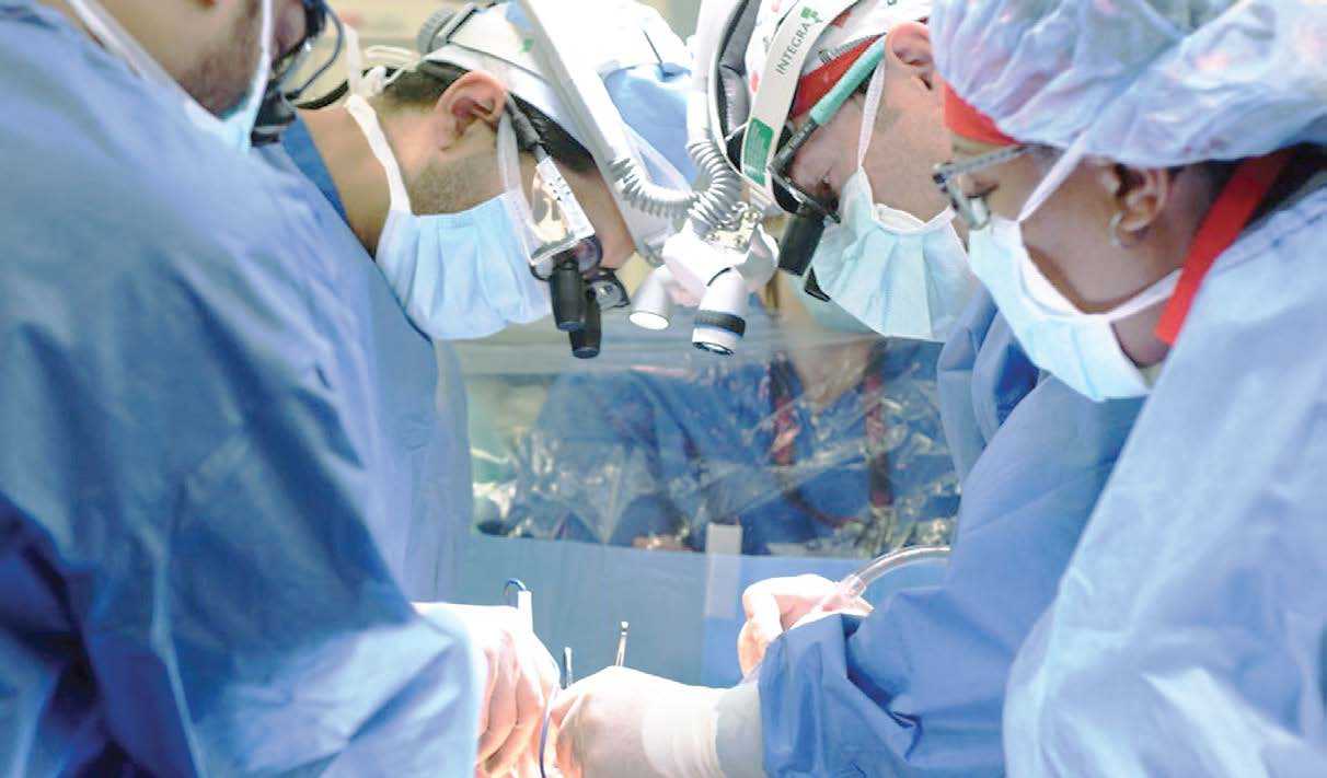 Transplantasi Pertama Jantung Babi kepada Manusia Berhasil