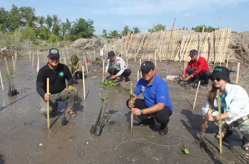 Tunjukkan Komitmen Pelestarian Lingkungan Hidup, eFishery Tanam 1.000 Mangrove di Nusa Tenggara Barat 1