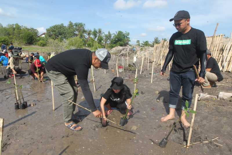 Tunjukkan Komitmen Pelestarian Lingkungan Hidup, eFishery Tanam 1.000 Mangrove di Nusa Tenggara Barat 2