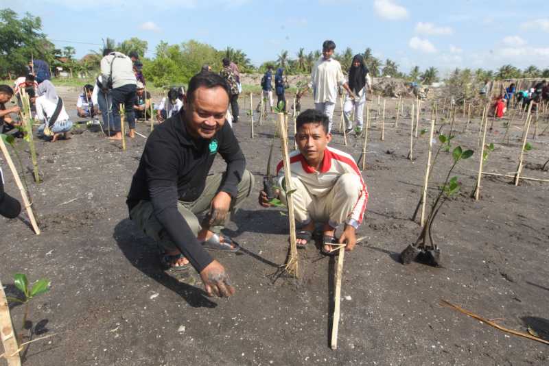 Tunjukkan Komitmen Pelestarian Lingkungan Hidup, eFishery Tanam 1.000 Mangrove di Nusa Tenggara Barat 3