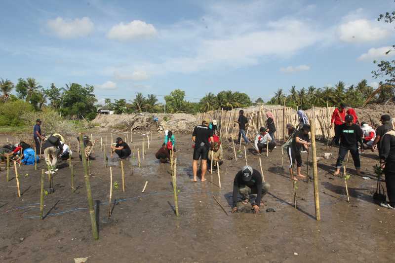 Tunjukkan Komitmen Pelestarian Lingkungan Hidup, eFishery Tanam 1.000 Mangrove di Nusa Tenggara Barat 4