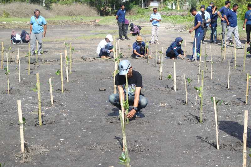 Tunjukkan Komitmen Pelestarian Lingkungan Hidup, eFishery Tanam 1.000 Mangrove di Nusa Tenggara Barat 5