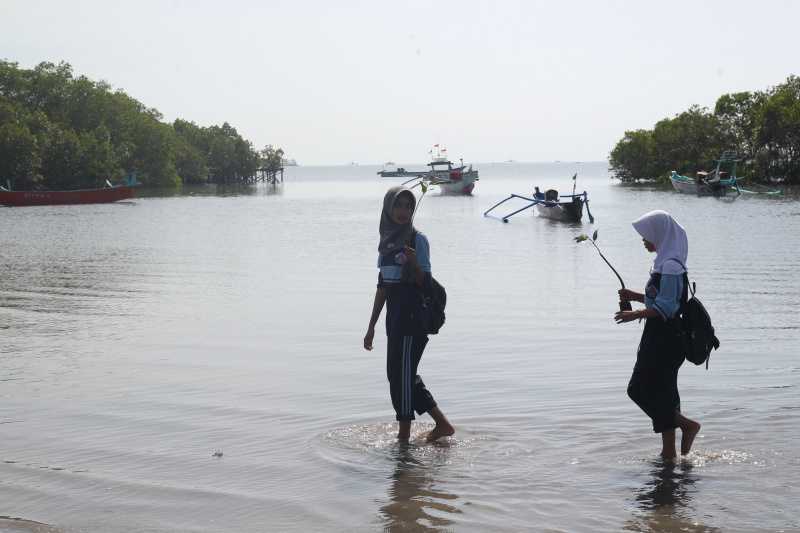 Tunjukkan Komitmen Pelestarian Lingkungan Hidup, eFishery Tanam 1.000 Mangrove di Nusa Tenggara Barat 6