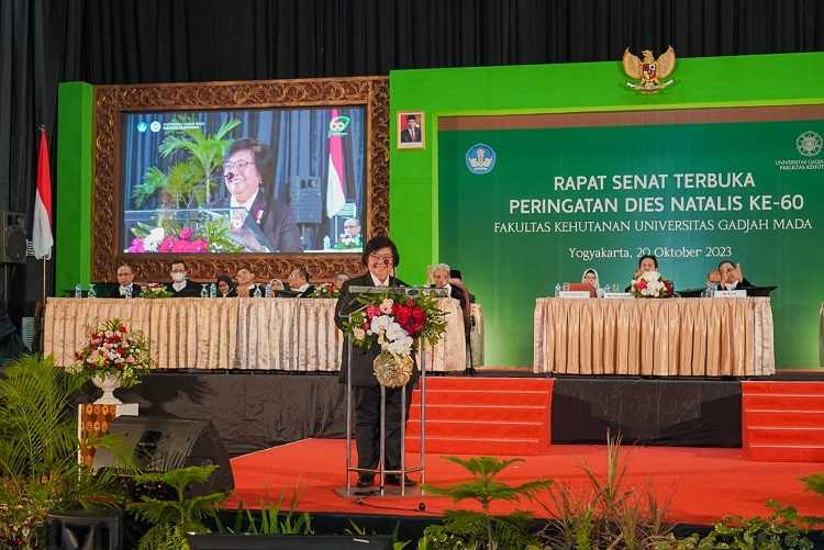 Turbulensi Kehutanan di Indonesia Telah Berlangsung Lama