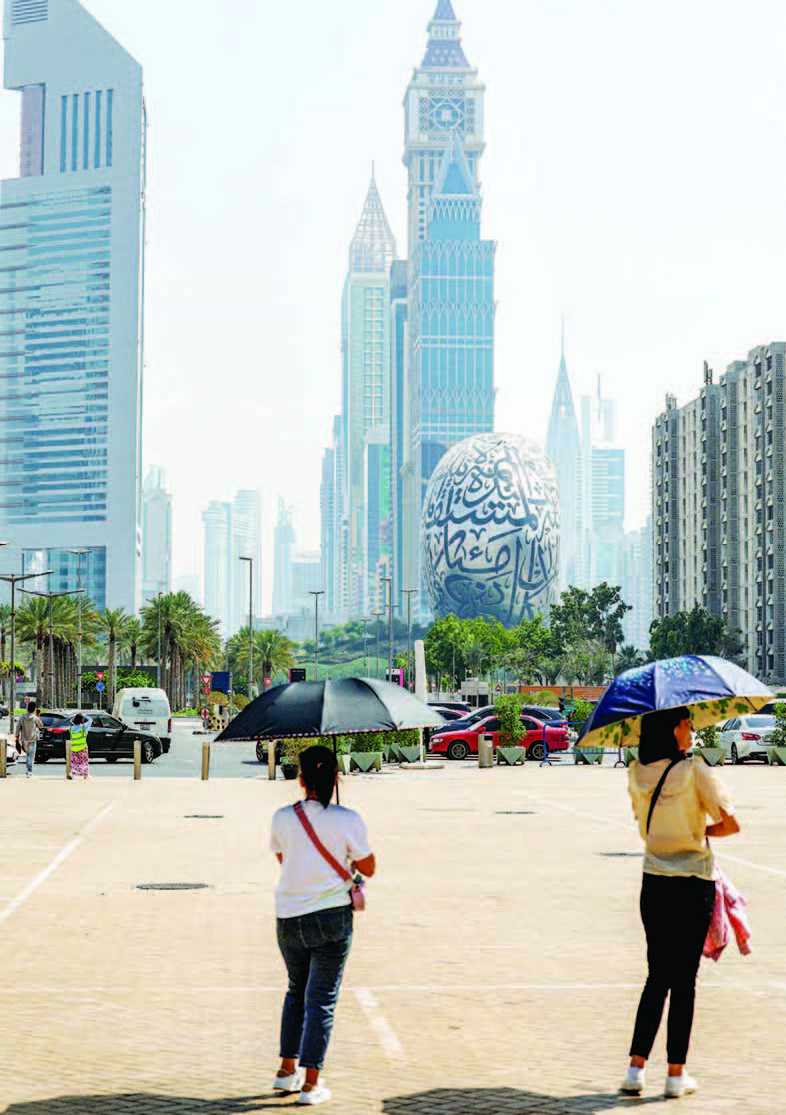 UAE Restorasi Hutan Bakau untuk Lawan Perubahan Iklim