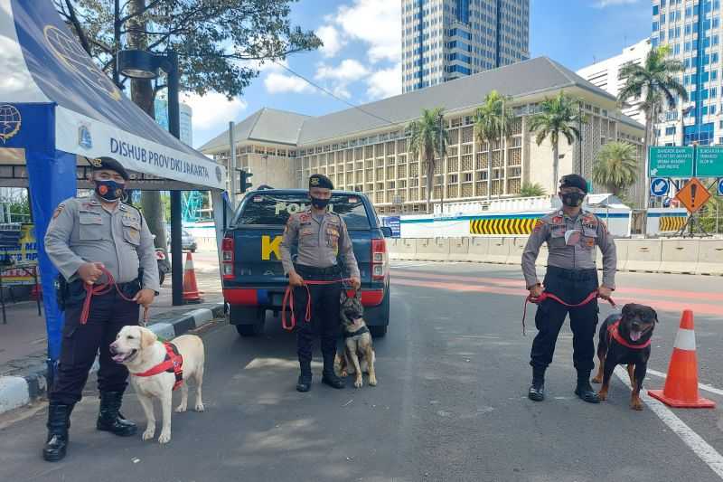 Untuk Menghalau Massa, Pasukan Anjing Pelacak Turut Amankan Aksi Reuni 212