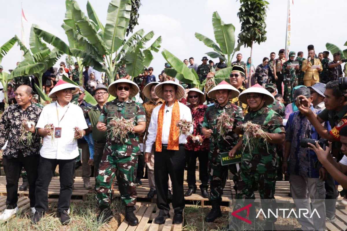 Urban Farming Bisa Jadi Sarana Produksi Pangan