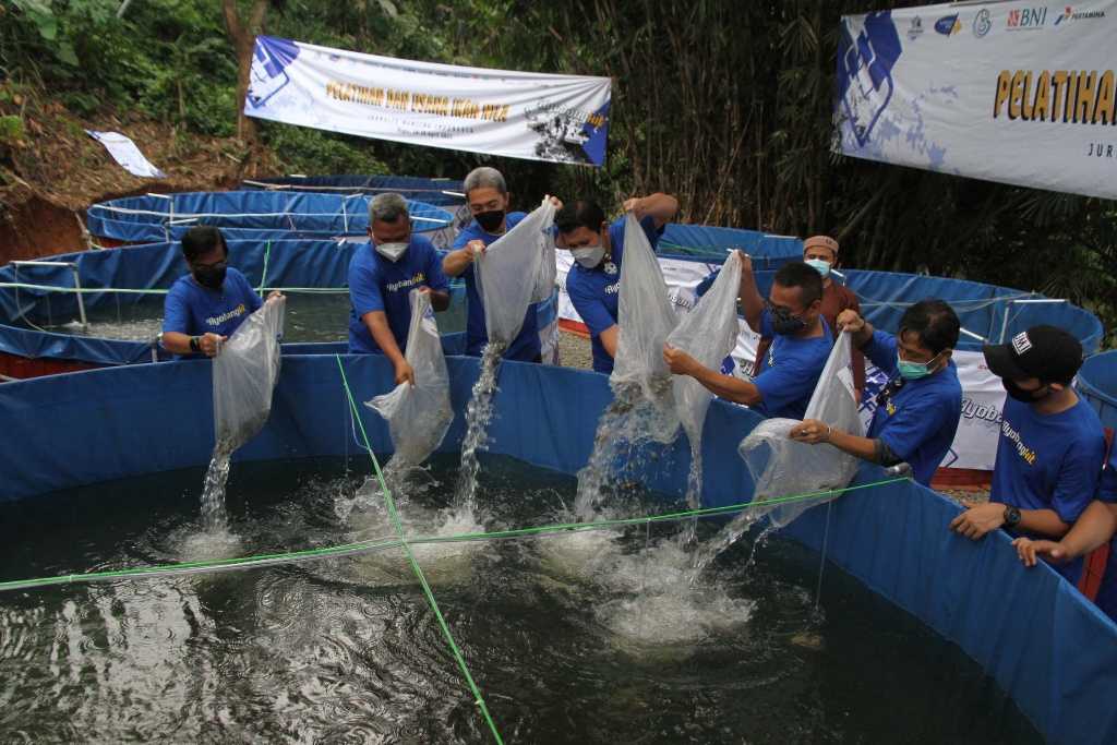 Usaha Budidaya