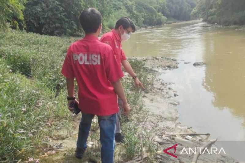 Usut Tuntas, Polisi Ikut Selidiki Penyebab Ribuan Ikan Mati di Sungai Cileungsi