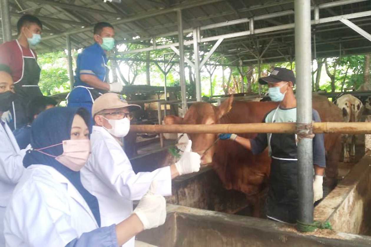 Vaksinasi PMK di Banten Ditargetkan 50 Ribu Dosis 2023
