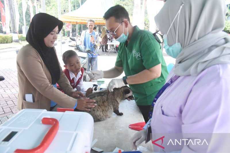 Vaksinasi Rabies di Jakarta Timur Mencapai 80,2 Persen