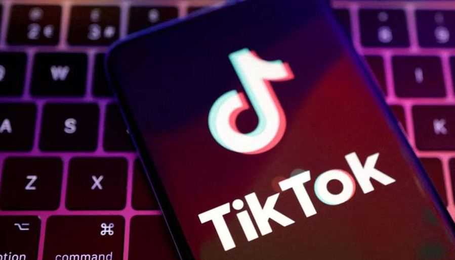 Vietnam akan Inspeksi TikTok terkait Konten Berbahaya dan Pajak