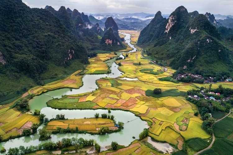 Vietnam Hadapi Penurunan Populasi Seiring Angka Kelahiran Turun