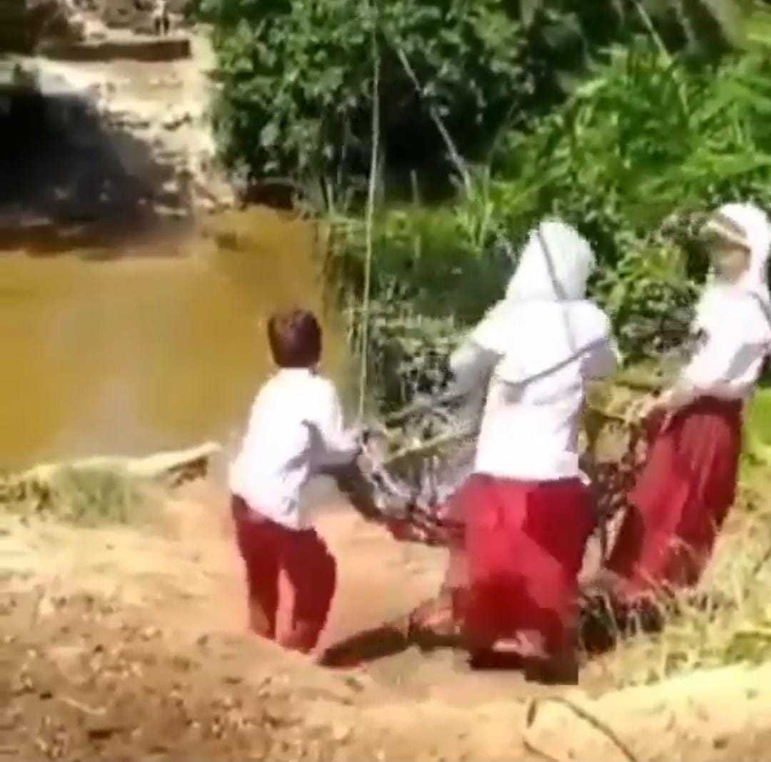 Viral Murid SD Seberangi Sungai Gunakan Keranjang Tanpa Pengaman, Banyak Warganet Miris