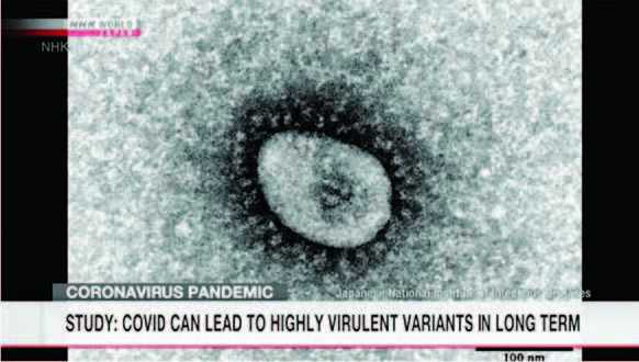 Virus Korona Bisa Picu Varian Mematikan dalam Jangka Panjang