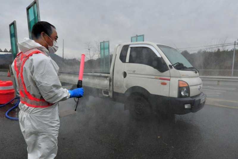 Wabah Covid-19 Belum Selesai, Kini Korea Selatan Laporkan Muncul Kasus Flu Burung