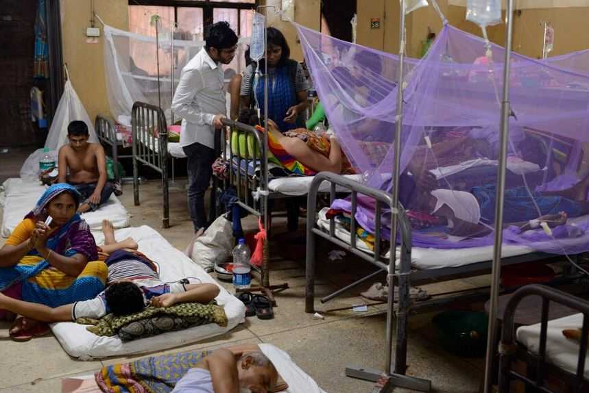 Wabah DBD Tak Terkendali, Bangladesh Diminta Berlakukan Darurat Kesehatan