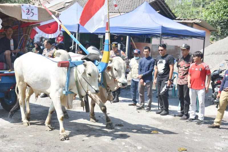 Wabup Sleman: Festival Gerobak Sapi Dukung Destinasi Lereng Merapi
