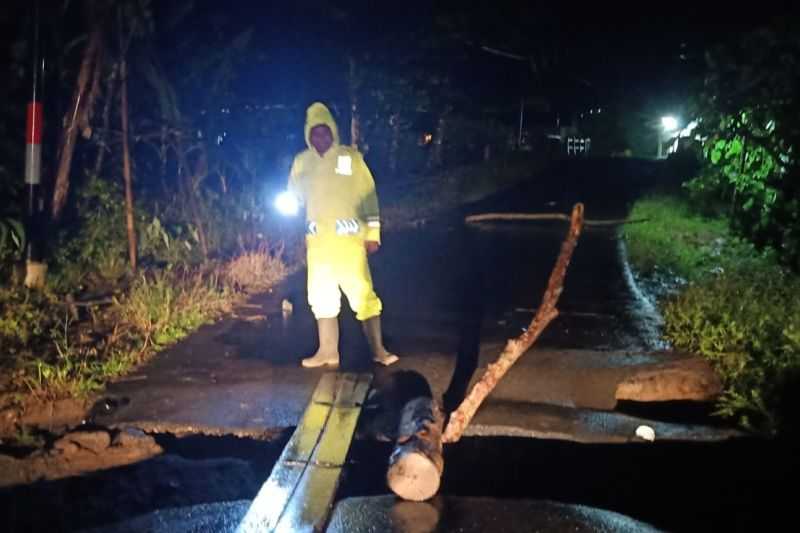 Waduh, Akses Jalan di Trenggalek Ambles Tergerus Banjir