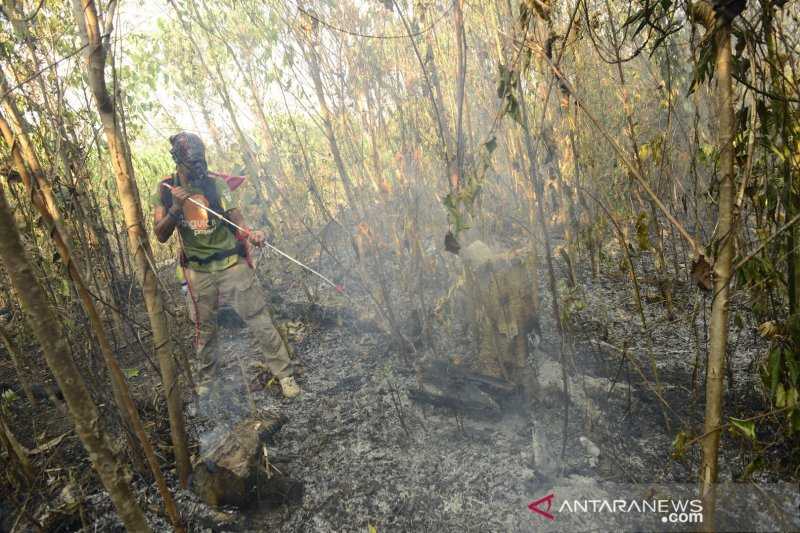 Waduh Banyak Sekali, 30 Titik Panas Terdeteksi di Kalimantan Timur