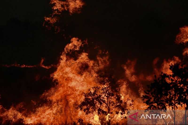 Waduh Banyak Sekali, BPBD: 4.345 Titik Api Karhutla Terdeteksi di Kalsel
