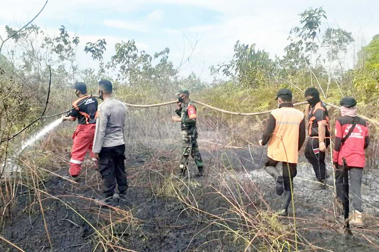 Waduh Bmkg Deteksi Sembilan Titik Panas Kebakaran Hutan Di Kalimantan Timur Koran 0038