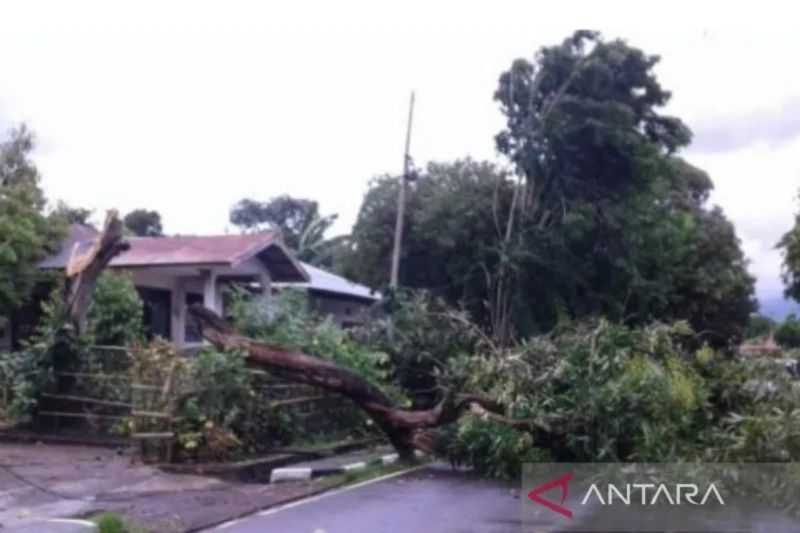 Waduh Cuaca Ektrem Makin Banyak Bikin Masalah, Sejumlah Pesawat di Kupang Tunda Keberangkatan