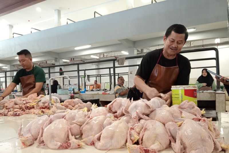 Waduh, Harga Daging Ayam di Gorontalo Mulai Naik