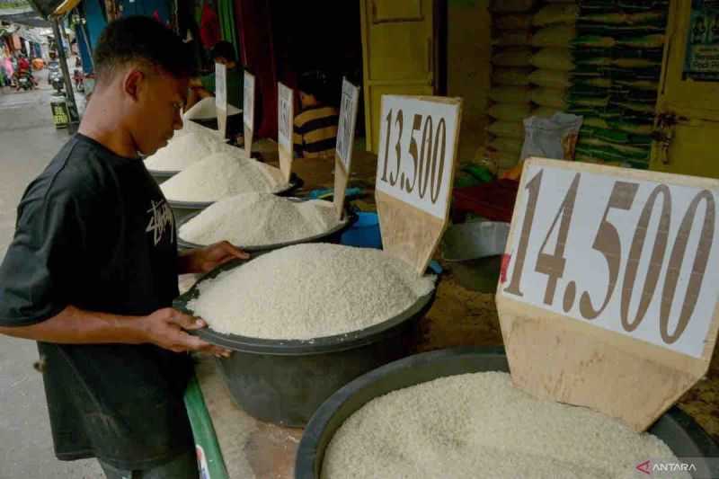 Wajar Petani Menikmati Harga Beras Tinggi