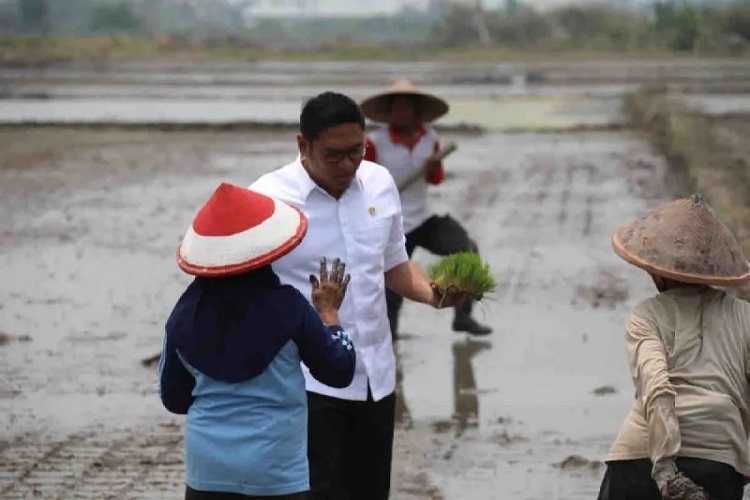 Wamentan Tegaskan 3 Juta Hektare Sawah Baru Dicetak Demi Wujudkan Ketahanan Pangan