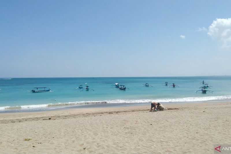 Warga Bali dan Turis Diminta Waspadai Gelombang Laut Setinggi 4 Meter di Selat Badung