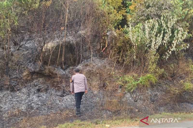 Warga Bangka Barat Diminta Waspadai Potensi Karhutla