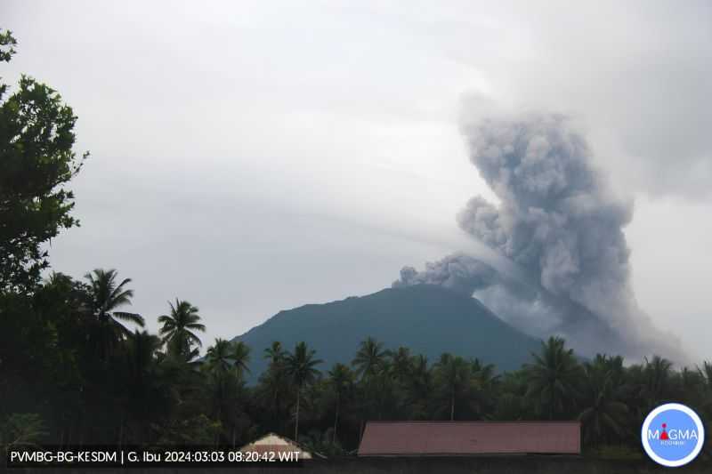 Warga Diminta Waspada, Gunung Ibu di Halmahera Lontarkan Abu Vulkanik Setinggi 800 Meter
