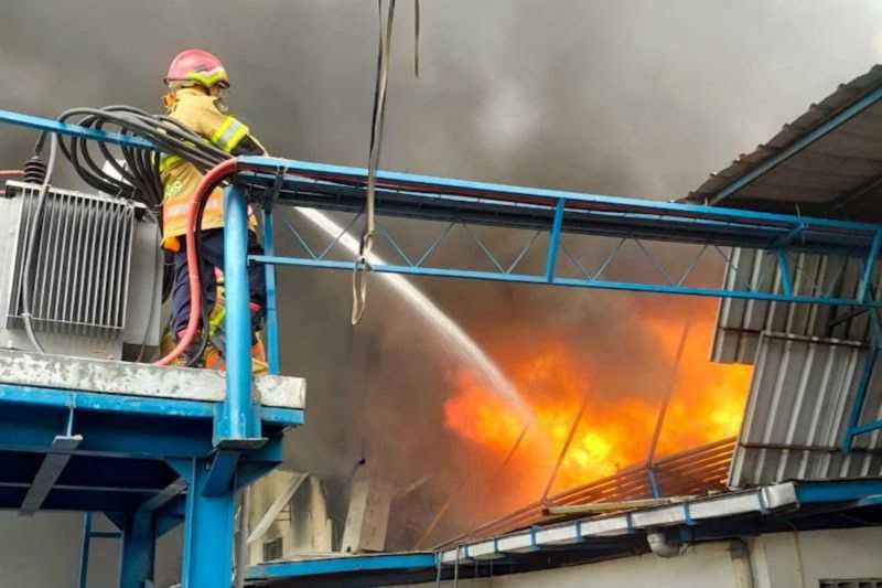 Warga Harus Waspada, BPBD DIY Imbau Masyarakat Cegah Kebakaran Selama Musim Kemarau