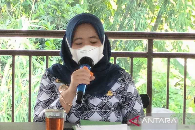 Warga Jangan Abai, Bupati Sleman Minta Masyarakat Waspadai Kenaikan Aktivitas Gunung Merapi