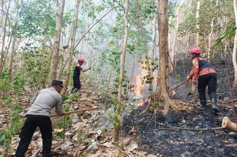 Warga Trenggalek Diingatkan untuk Mewaspadai Peningkatan Intensitas Karhutla