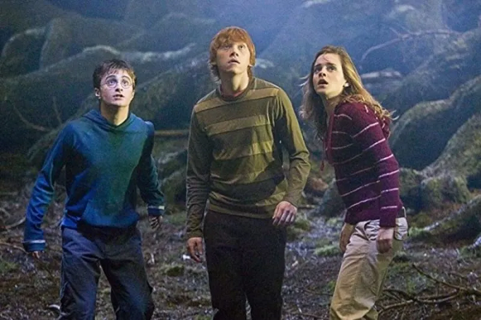 Warner Bros Ingin Buat Lebih Banyak Film Harry Potter