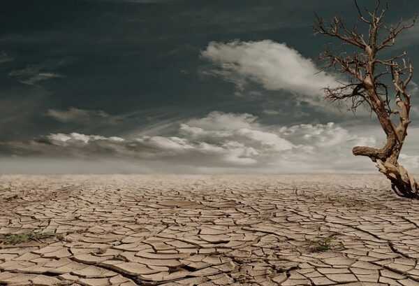 Waspadai Dampak El Nino pada 2024