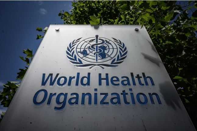 WHO: Wabah Kolera di Dunia terkait Erat dengan Perubahan Iklim