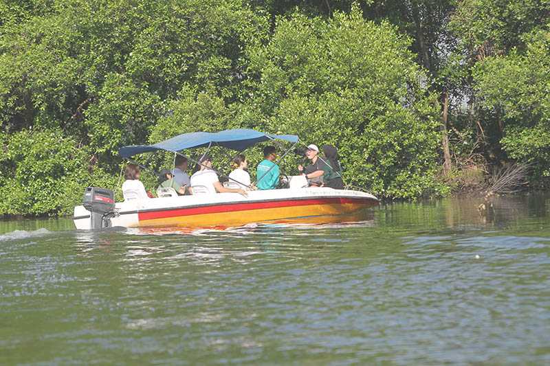 Wisata Mangrove Angke