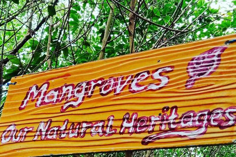 Wisata Mangrove Luppung Manyampa Siap Jadi Percontohan Nasional