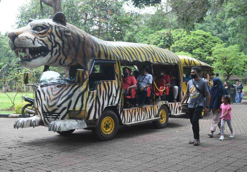 Wisatawan Penuhi Taman Marga Satwa Ragunan